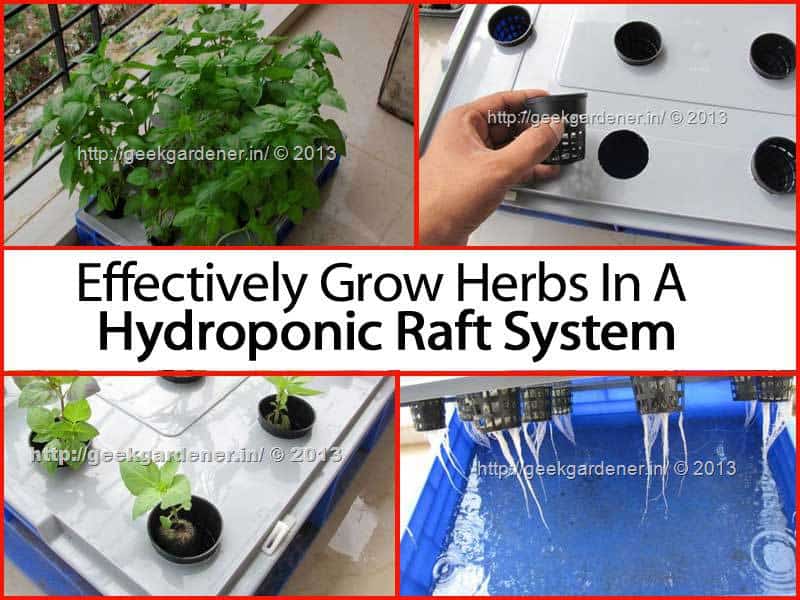 More Hydroponics: Grow Herbs Using A Hydroponic Raft System