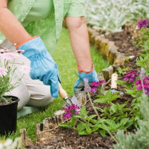 18 Garden Hacks That Will Transform Your Growing Game Forever
