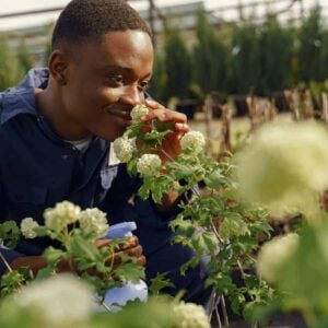 Breathe In Bliss: Top 12 Fragrant Plants Your Home Is Begging For