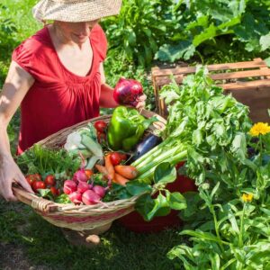 15 Plant-Once Perennial Veggies That Transform Your Garden Game Forever