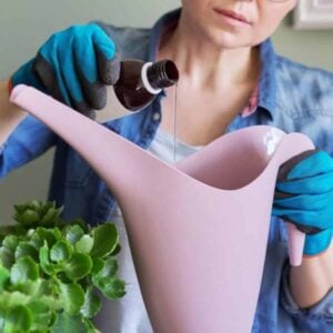 From Dormant to Dramatic: The Kitchen Cupboard Seed Trick That Actually Works