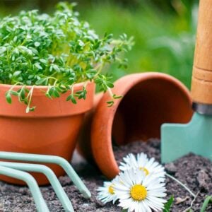 10 Brilliant Ways to Rescue Old Pots And STOP Tossing Garden Gold