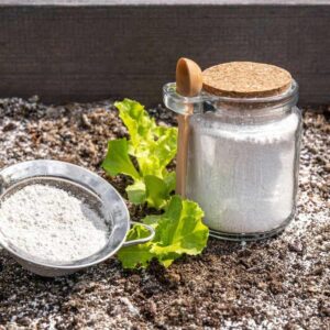 10 Surprising Ways Baking Soda Rescues Your Garden (That Seem Like Magic!)