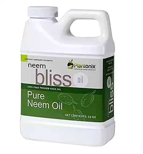 Organic Neem OIl Spray for Plants