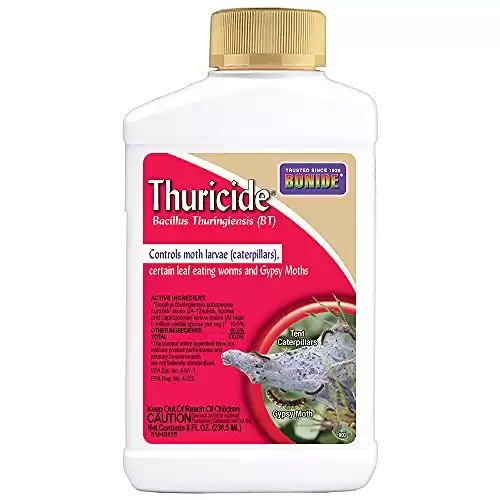 Bonide Leaf Eating Worm & Moth Killer, Thuricide Bacillus Thuringiensis (Bt) Outdoor Insecticide/Pesticide Liquid Concentrate (8 oz.)