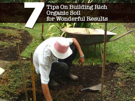 7 Tips On Building Rich Organic Soil for Wonderful Results