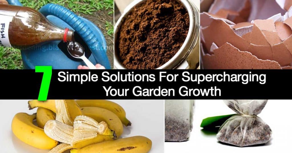 item to improve your garden soil