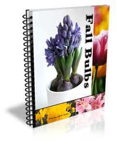 Fall-Bulbs-Cover