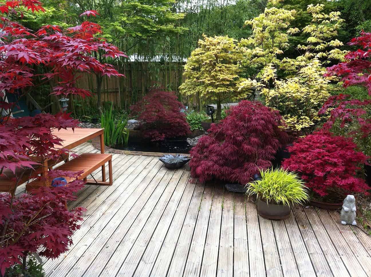Small Japanese Garden Transforms This Backyard - Watch
