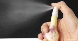 How To Make Garlic Spray For Plant Pests