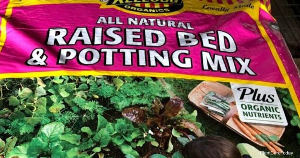 Bag of potting soil - Can potting soil mixes go bad?