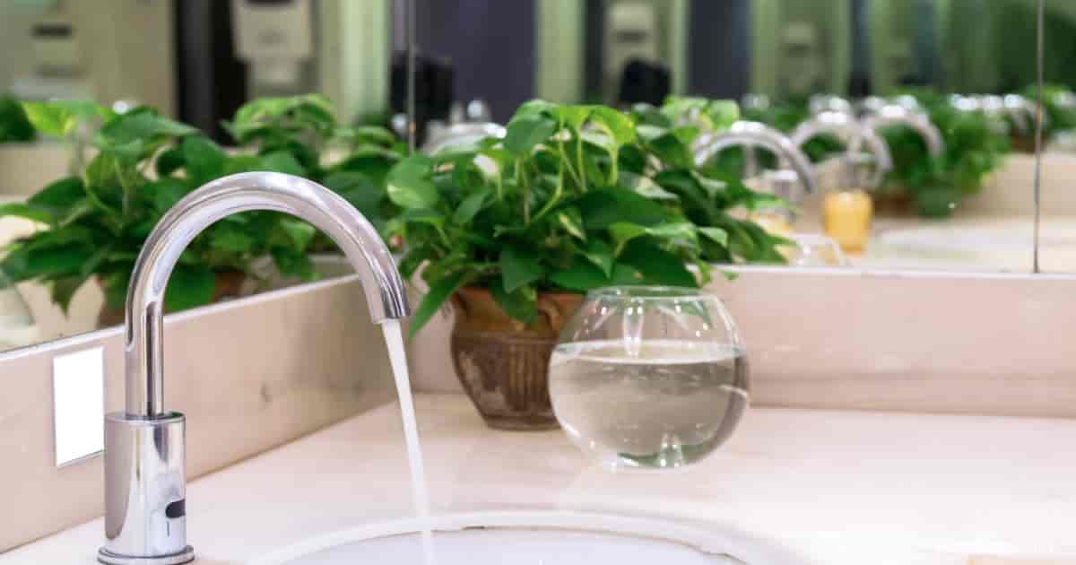 Bathroom Pothos plant displayed in an attractive container near sink