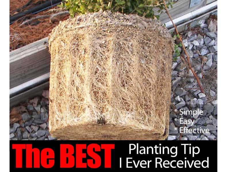 best-planting-tip-073114