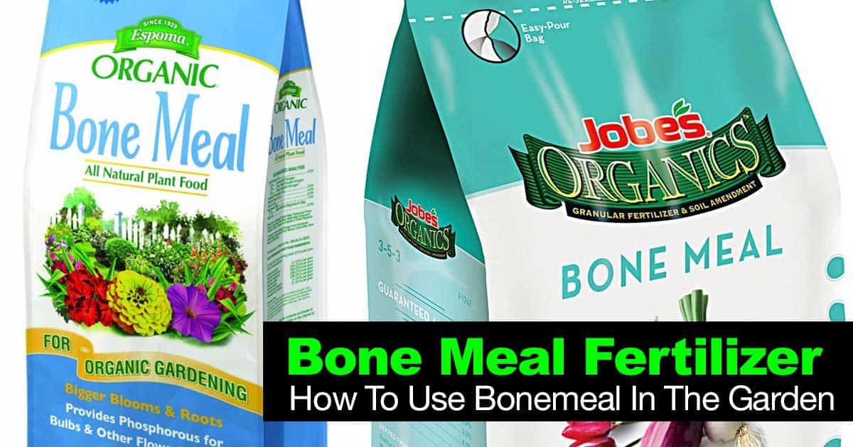 Bone Meal Fertilizer How To Use Bonemeal In The Garden