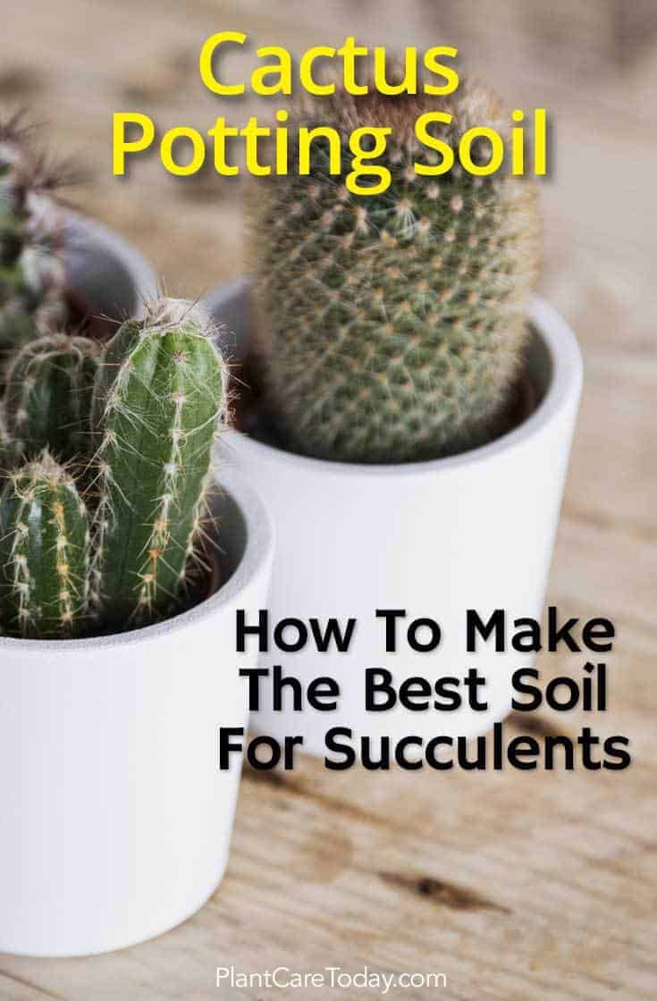 Homemade Cactus Soil Mix How To Make A Quality Potting Soil For Cacti