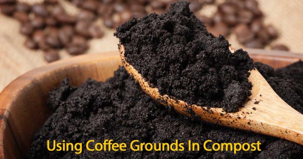 used coffee grounds
