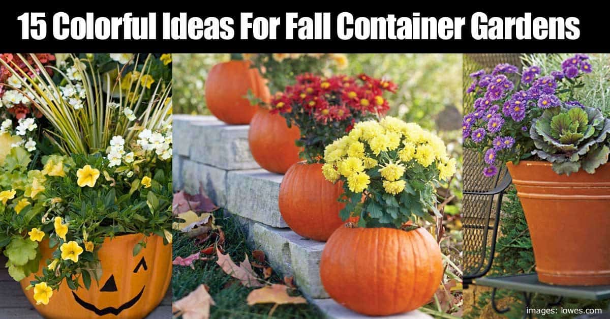 15 Colorful Ideas For Fall Container Gardens