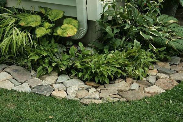 Backyard border landscaping ideas