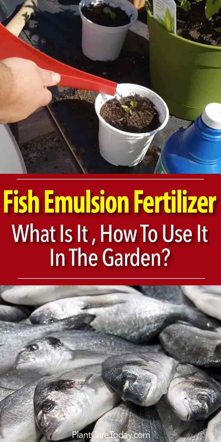 Alaska Fish Fertilizer Feeding Chart