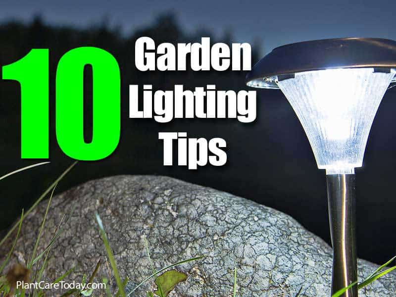 garden lighting tips