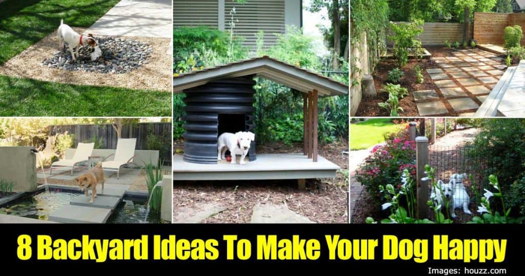 8 Backyard Ideas To Make Your Dog Happy
