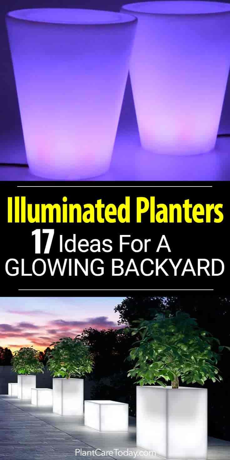 DIY Glow in the Dark Flower Pots