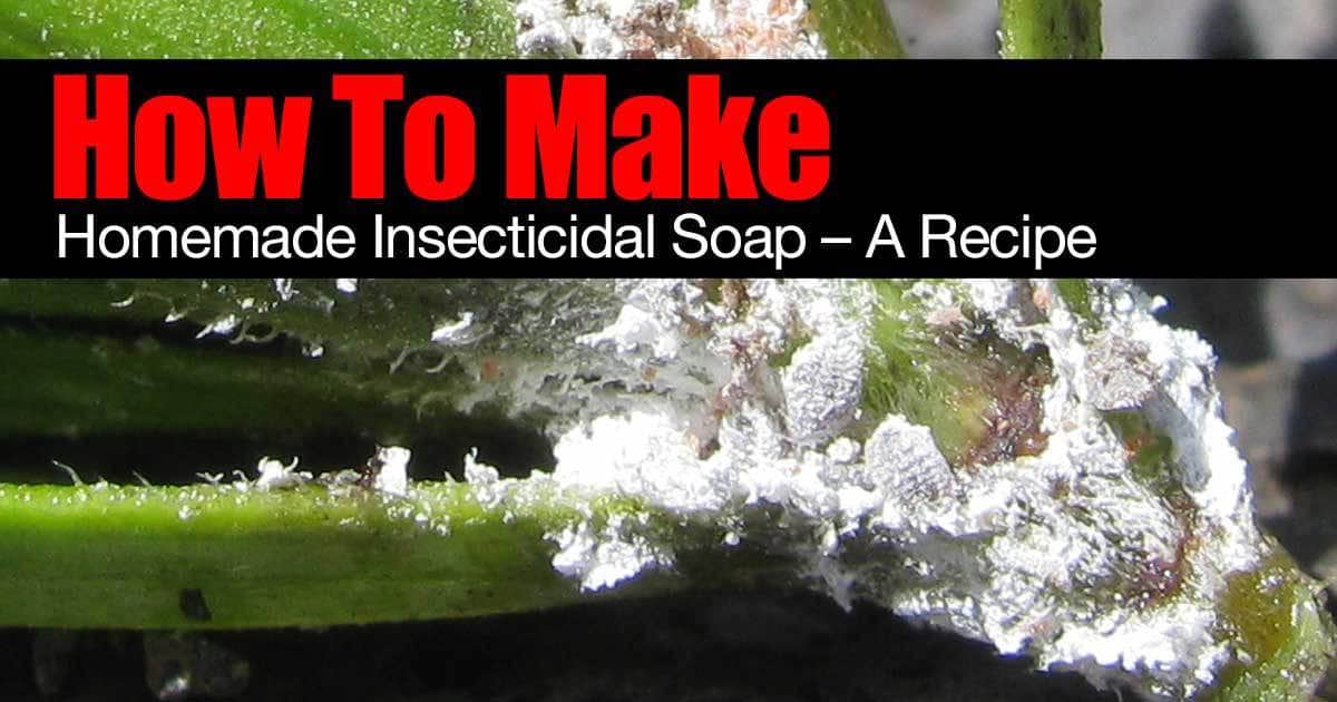 Creating Your Own Homemade Insecticidal Soap