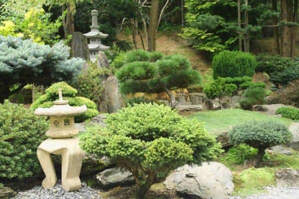 Small Japanese Garden Transforms This Backyard - Watch