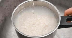 Is Rice Water Good For Plants And Scientifically Proven?