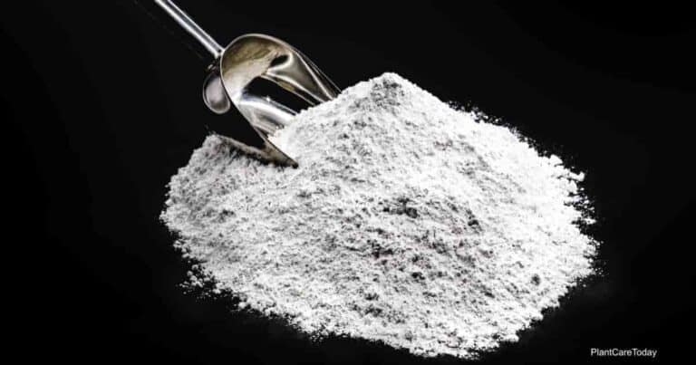 What Is A Bordeaux Fungicide Making Bordeaux Mixture Fungicides