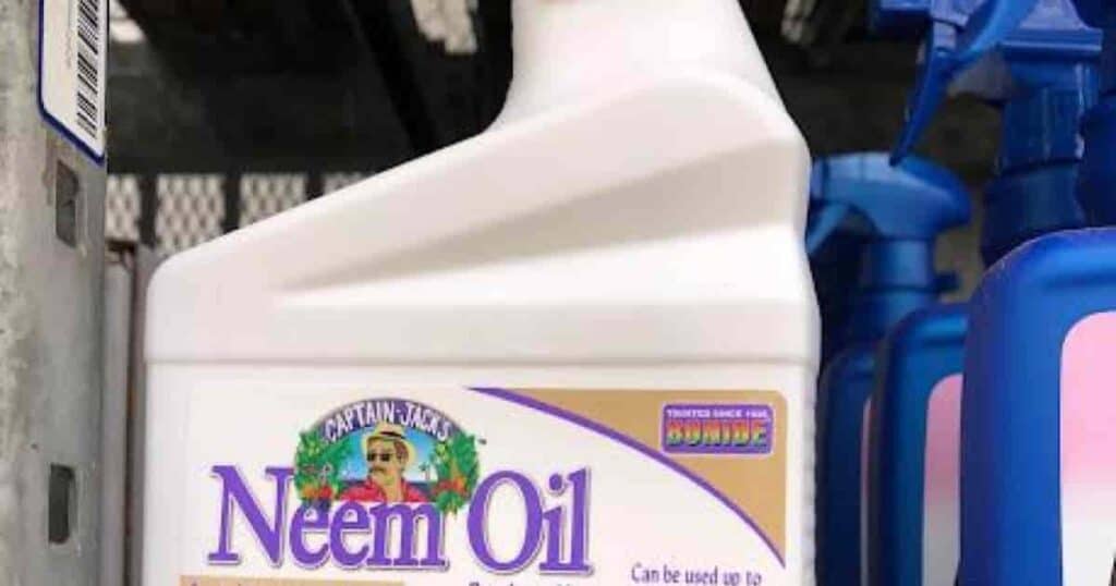 Neem Oil