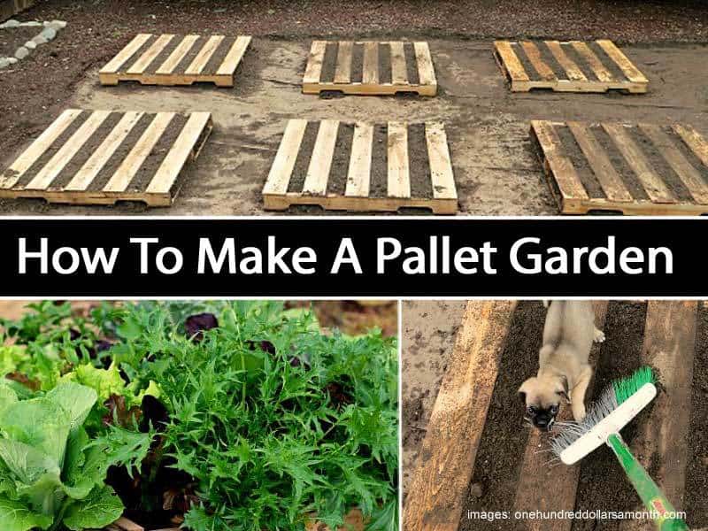 make-pallet-garden-073114