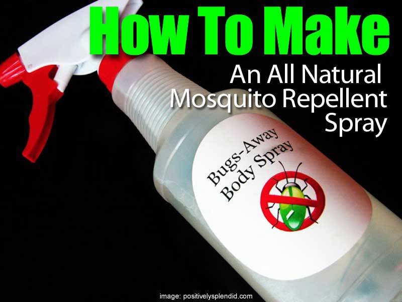 How To Make An All Natural Mosquito Repellent Spray