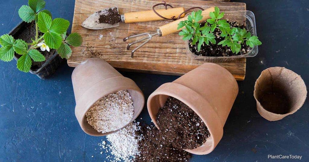 perlite and vermiculite in pots spilled on a potting bench