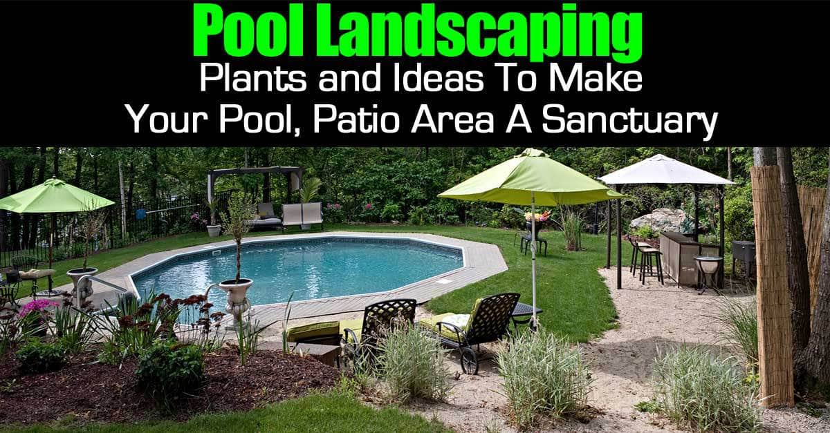 Pool landscape: plants and ideas to make your pool, patio area a ... Patio Pool Ideas