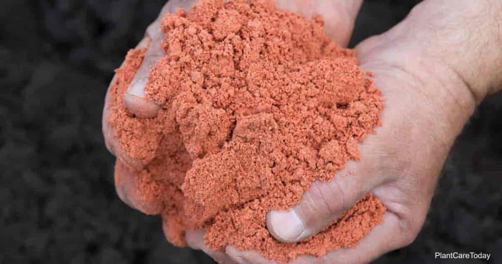 Potash Fertilizer What Is It And How To Use It   Potash Fertilizer T1 Min 1024x538 