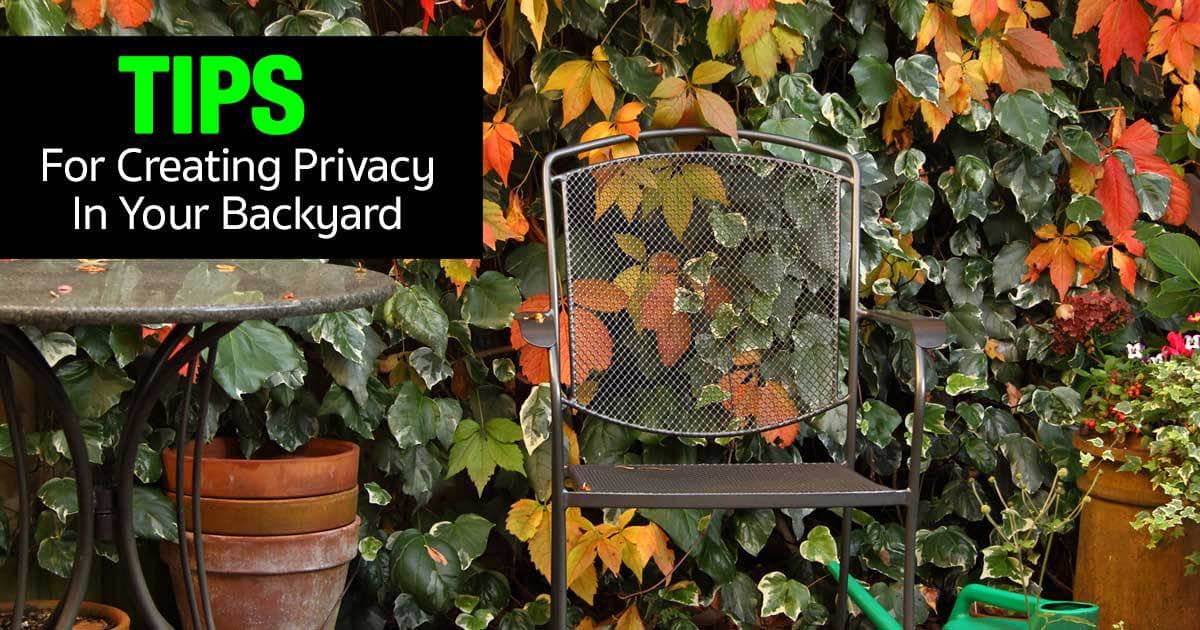 Creating privacy in backyard