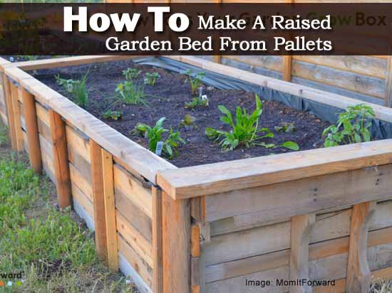 How to Make A Raised Garden Bed From Pallets