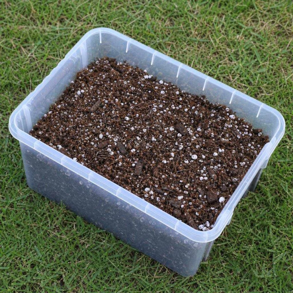 A clear plastic container holds a mixed potting blend of dark coco coir, white perlite granules, and small bark chunks, resting on green grass.