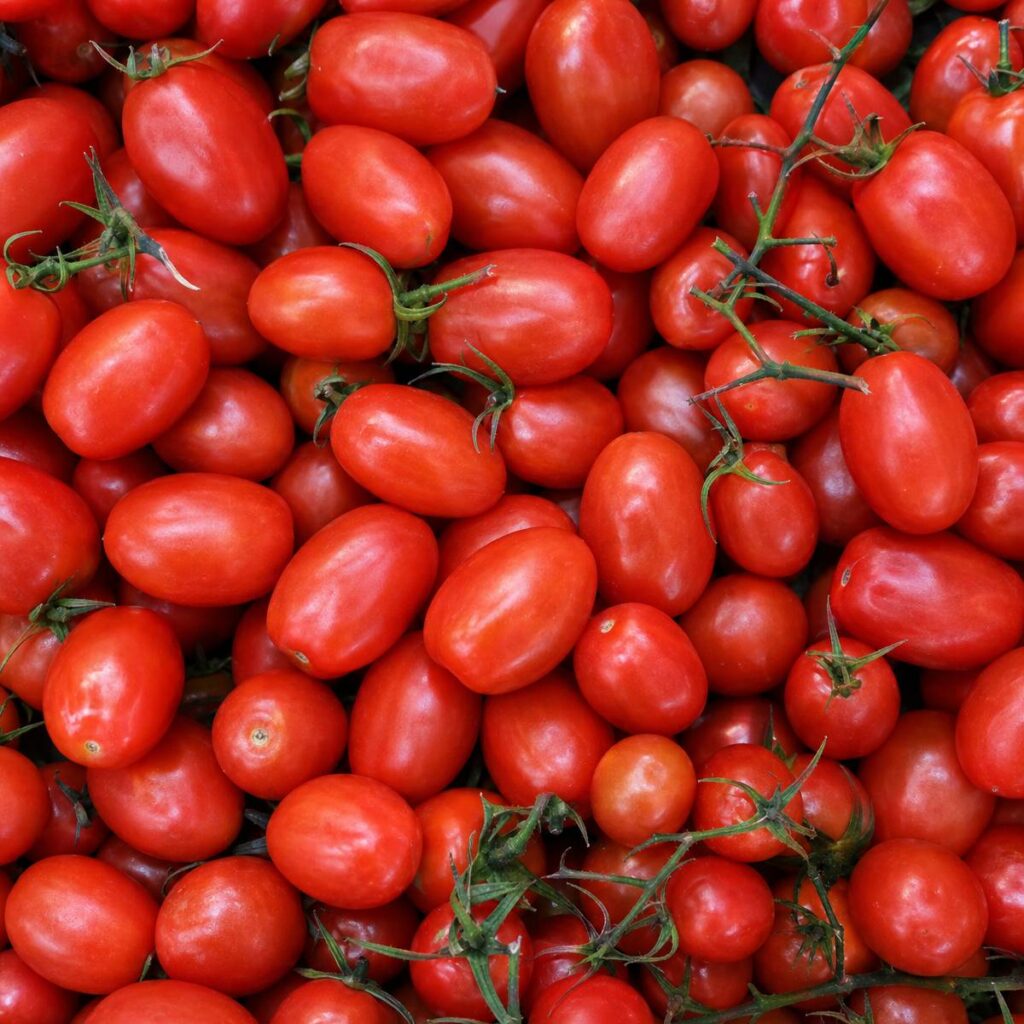 A dense overhead cluster of glossy red plum and cherry tomatoes fills the frame, their green stems and vine pieces scattered throughout the tightly packed pile.