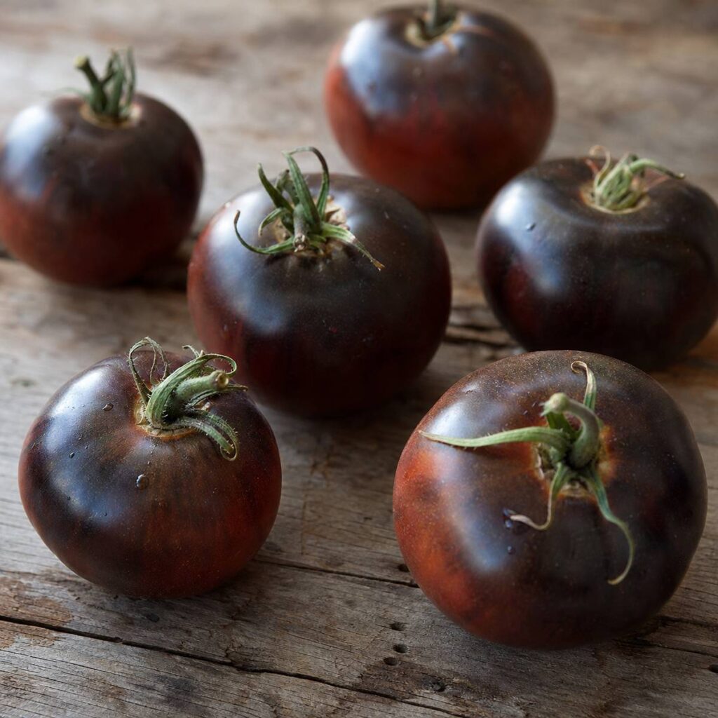 Six dark purple-black tomatoes with green stems rest scattered on a rustic, weathered wooden table under soft natural light.