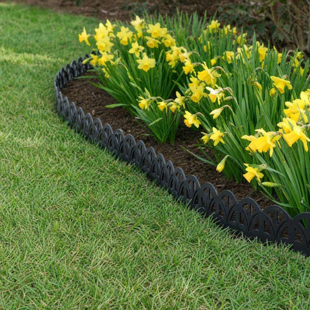 A curved black scalloped edging strip separates a green mowed lawn from a mulched bed filled with blooming yellow daffodils.