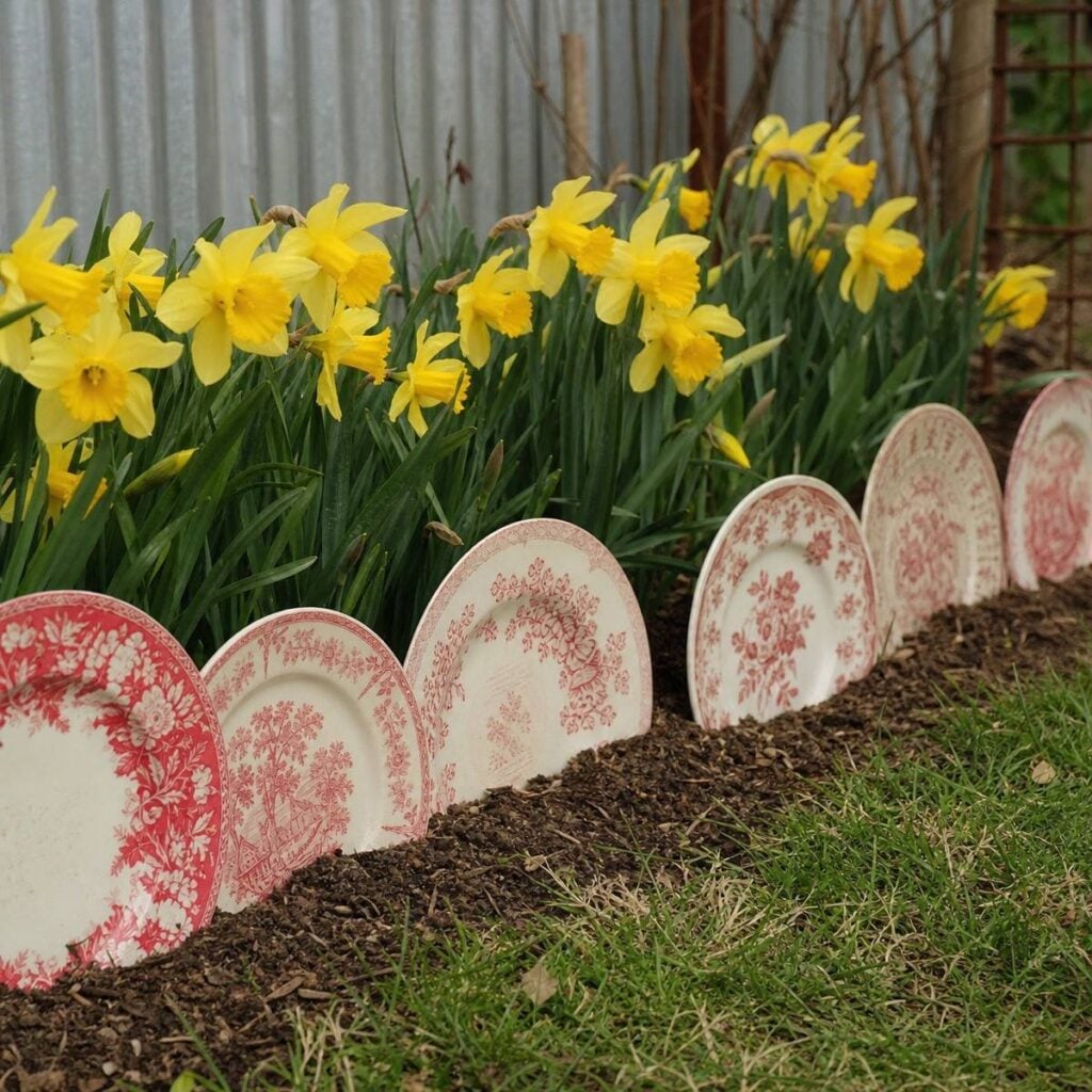 Red and white patterned vintage plates stand upright in soil edging a garden bed lined with blooming yellow daffodils beside a mowed lawn.