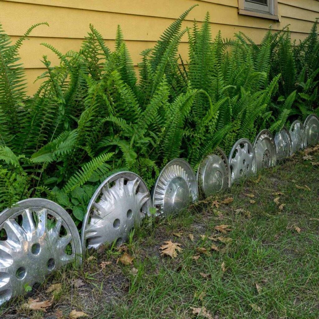 Assorted silver hubcaps stand upright in the soil, forming a scalloped edging line between lush green ferns and a mowed lawn beside a yellow house.