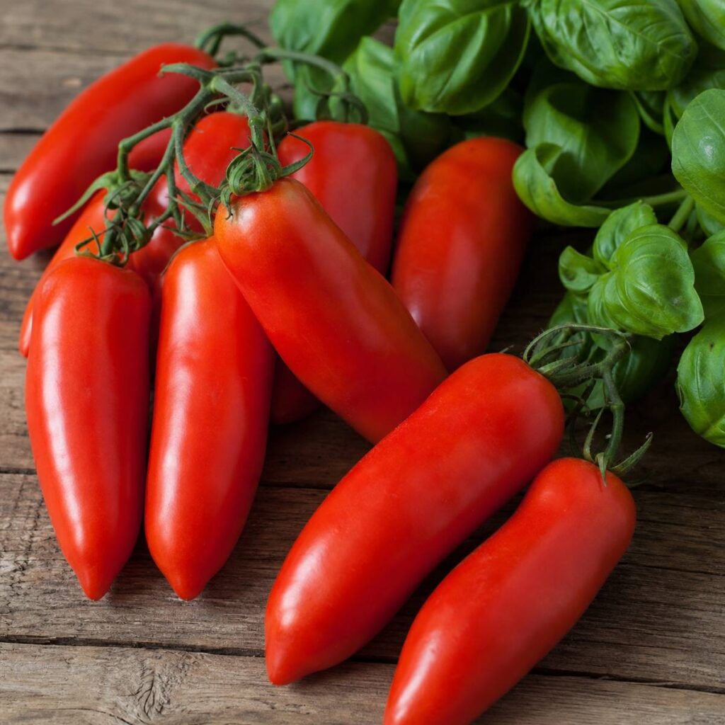 Several long, pointed red San Marzano plum tomatoes rest on a rustic wooden table beside fresh green basil leaves.