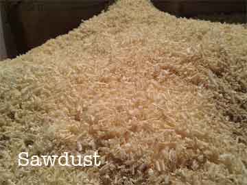 sawdust-curls