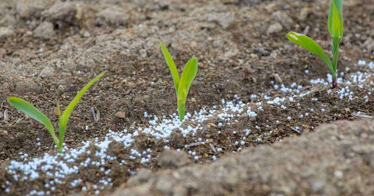 Slow Release Fertilizer How To Use Them In The Garden liquid-fertilizer-images-dr-earth