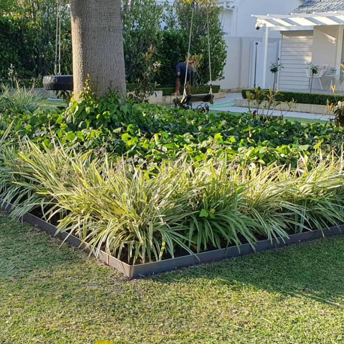 Top 37 Garden Edging Border Ideas: Spruce Up The Landscape