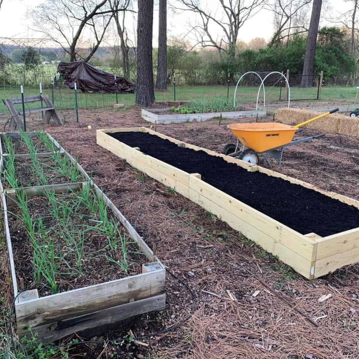 Soil For Raised Beds: How To Make The Best Raised Bed Soil