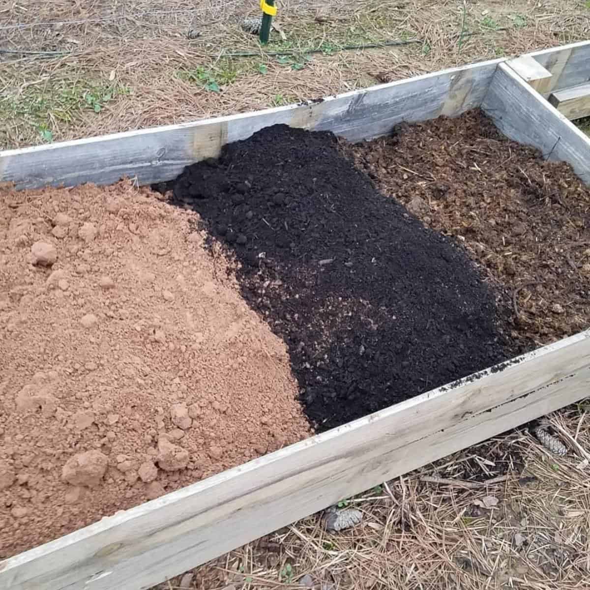 Soil For Raised Beds: How To Make The Best Raised Bed Soil